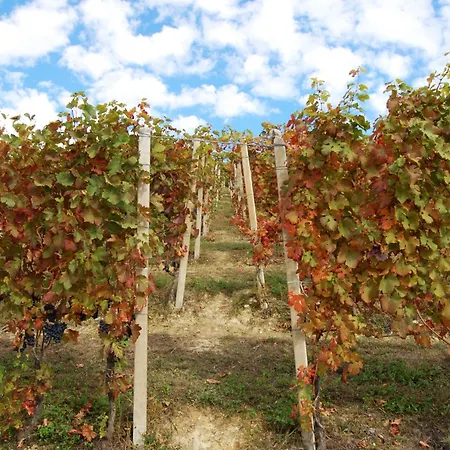 'd Rainè Alloggio per agriturismo