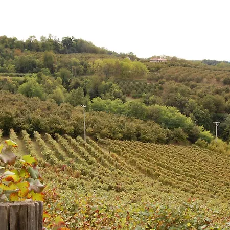 拉依尼农庄酒店 * 蒙蒂罗奥比塞